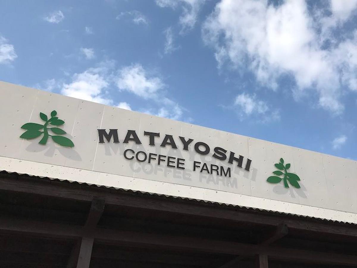 Vila Matayoshi Coffee Farm Higashi Exteriér fotografie