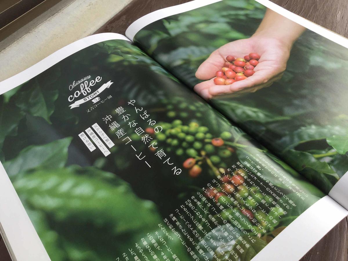 Vila Matayoshi Coffee Farm Higashi Exteriér fotografie