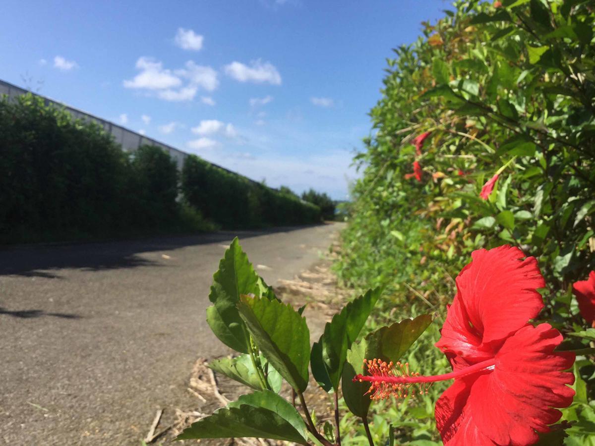 Vila Matayoshi Coffee Farm Higashi Exteriér fotografie